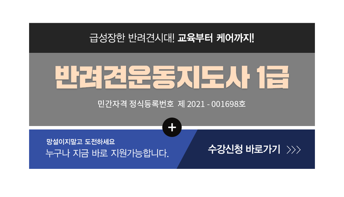 �ڰ��� Ÿ��Ʋ�̹���